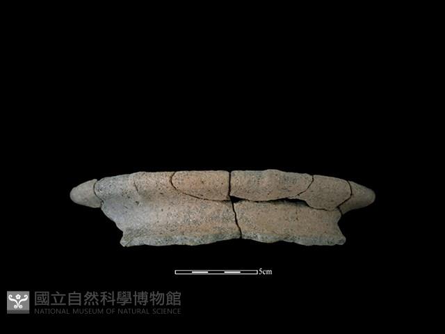 陶罐藏品圖，第1張