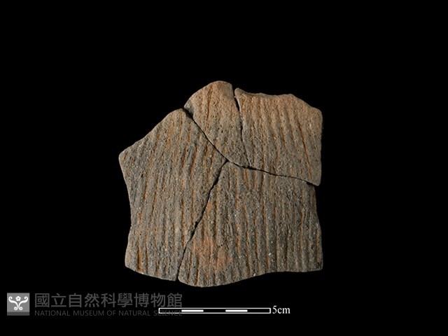 帶紋飾陶片藏品圖，第1張