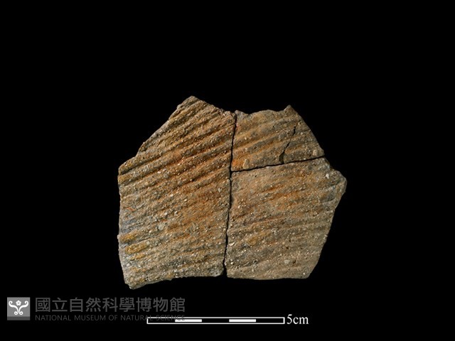 陶片藏品圖，第1張