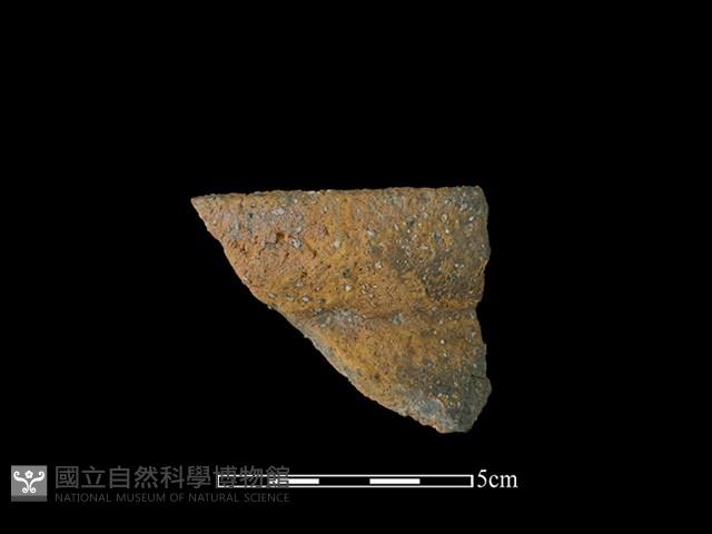 陶罐藏品圖，第1張