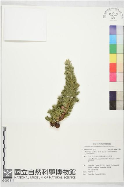 登錄號:G002311藏品圖，第1張