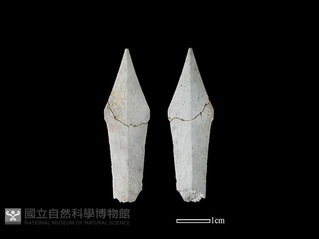 矛鏃形器藏品圖，第1張