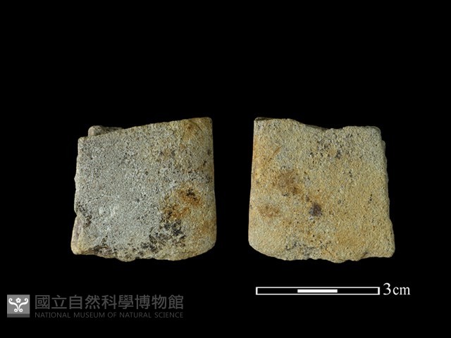 磨製有刃石器藏品圖，第1張