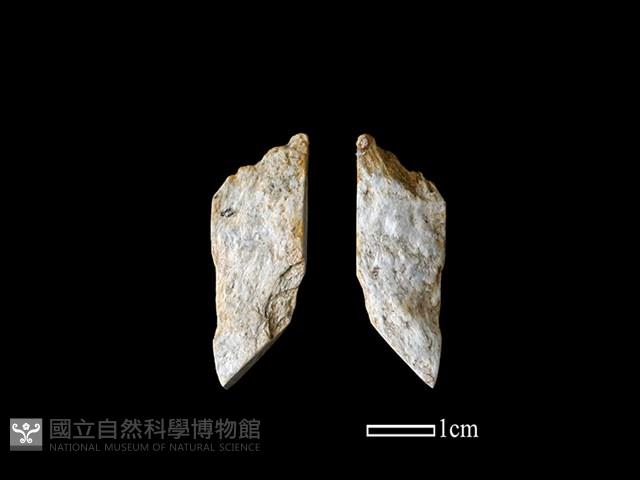 錛鑿形器藏品圖，第1張