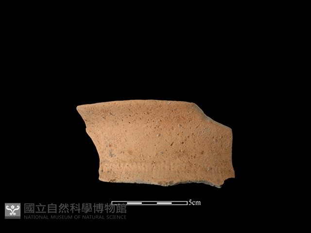 陶罐藏品圖，第1張