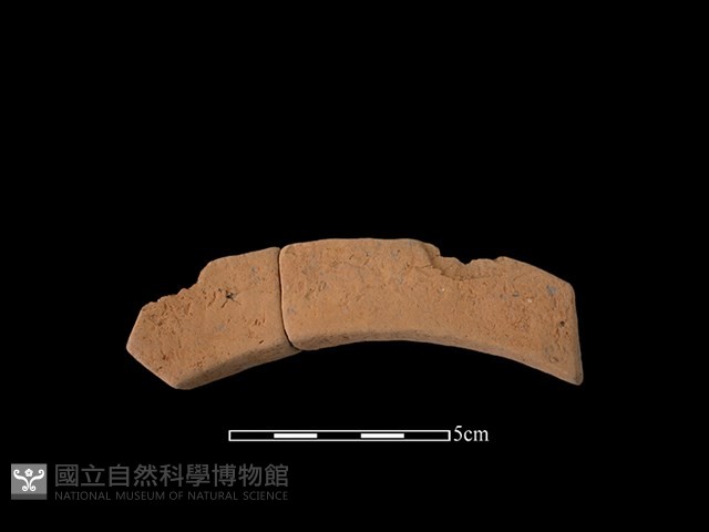 連杯形器藏品圖，第1張