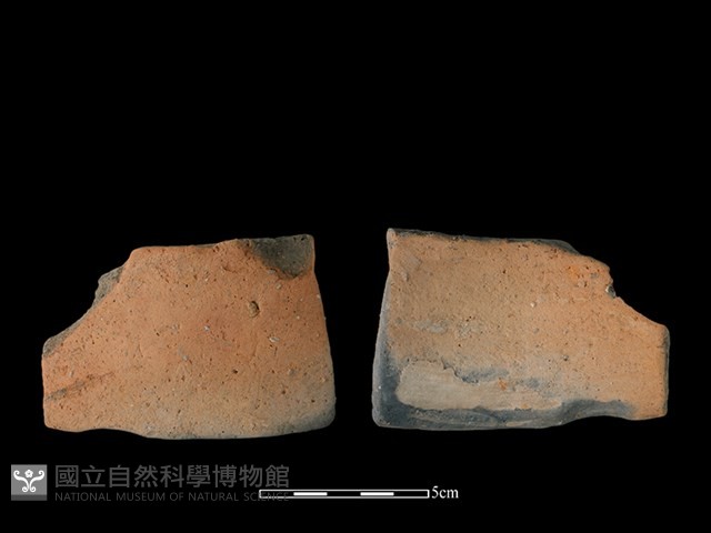 陶罐藏品圖，第1張