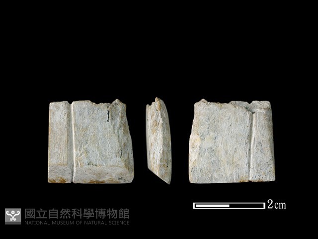 錛鑿形器藏品圖，第1張