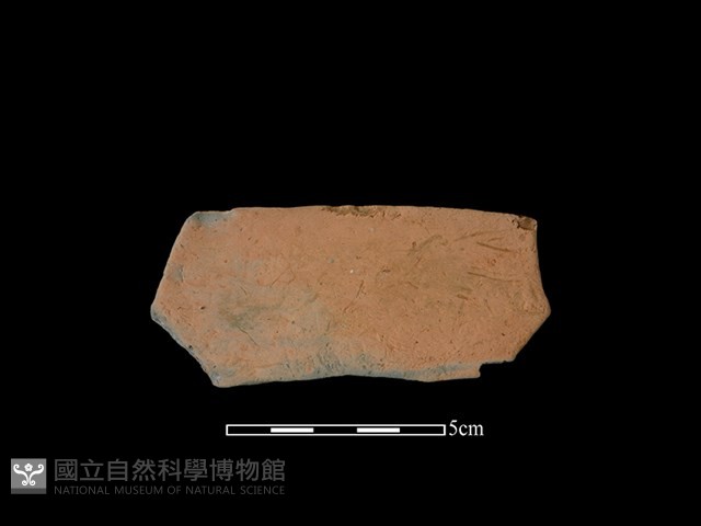 連杯形器藏品圖，第1張