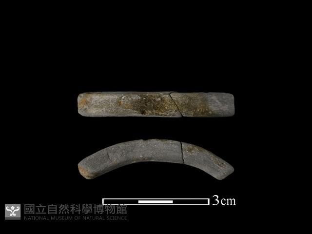 陶環藏品圖，第1張