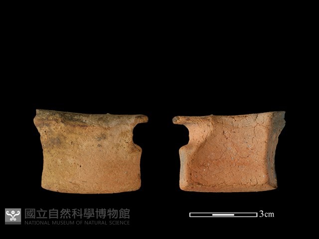 陶罐藏品圖，第1張