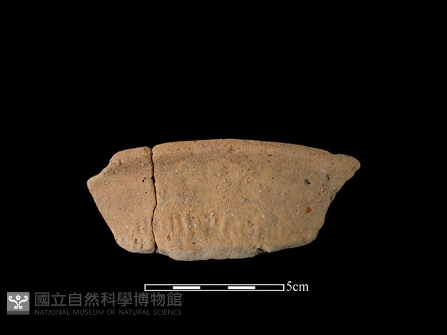 陶罐藏品圖，第1張