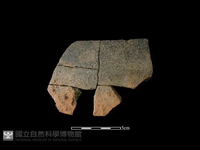 陶缽藏品圖，第1張