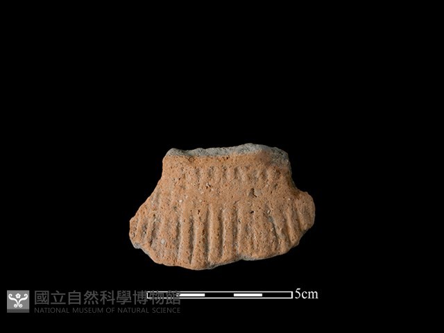帶紋飾陶片藏品圖，第1張