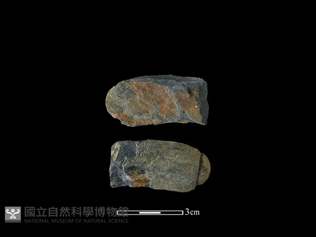 網墜藏品圖，第1張