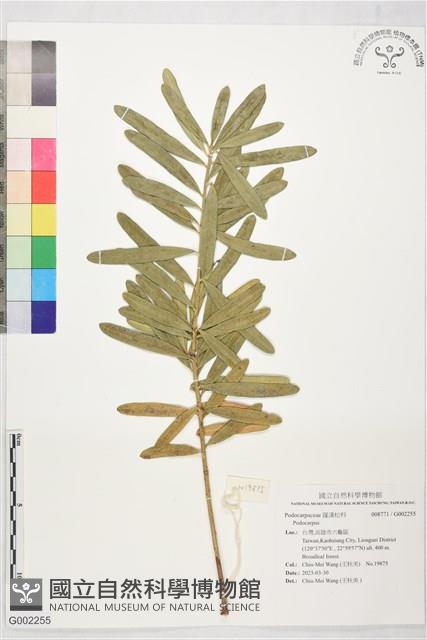 登錄號:G002255藏品圖，第1張