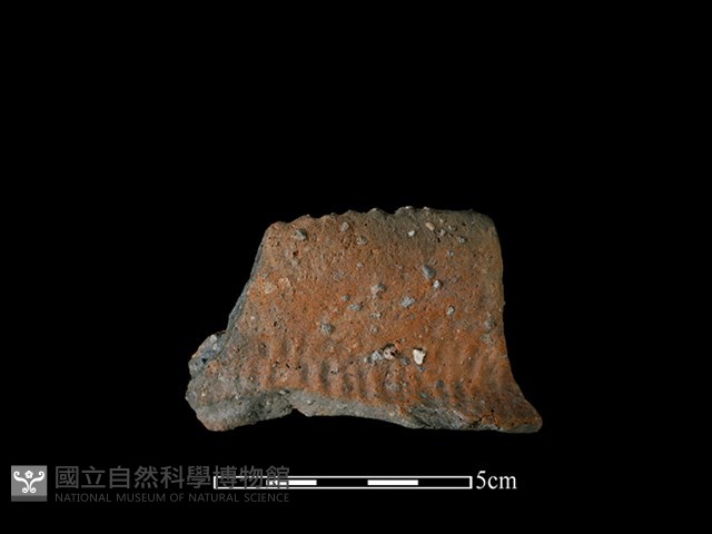 陶罐藏品圖，第1張