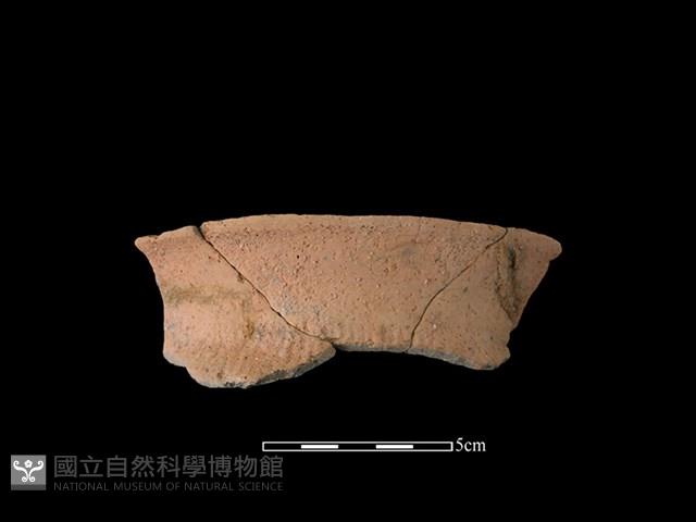 陶罐藏品圖，第1張