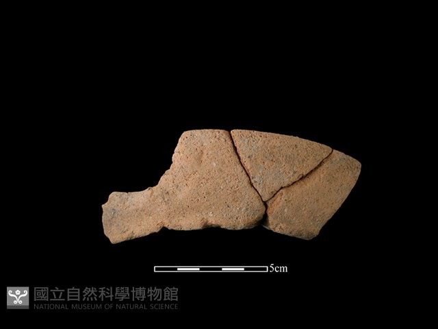 陶罐藏品圖，第1張