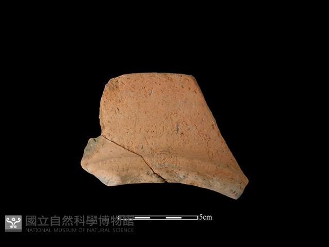陶罐藏品圖，第1張