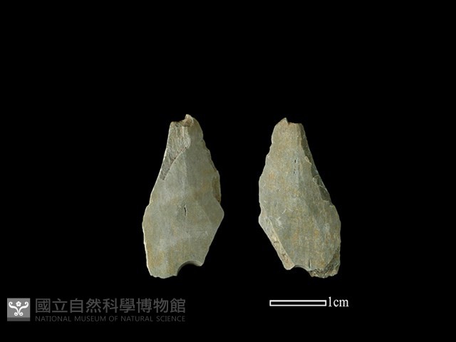 矛鏃形器藏品圖，第1張