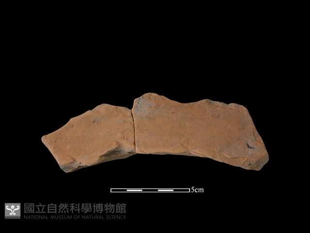 連杯形器藏品圖，第1張