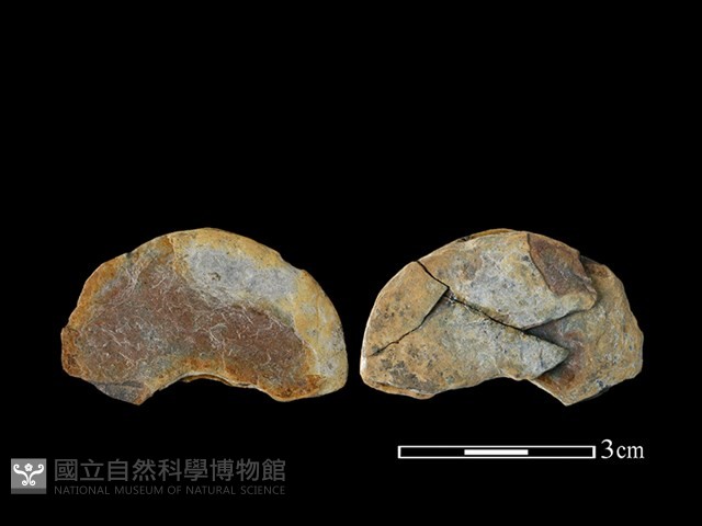 磨製圓形石器藏品圖，第1張