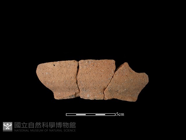 陶罐藏品圖，第1張