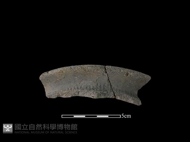 陶罐藏品圖，第1張