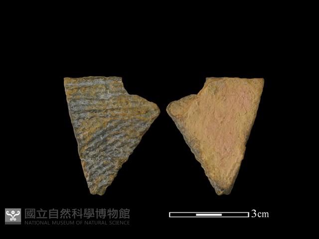 陶罐藏品圖，第1張