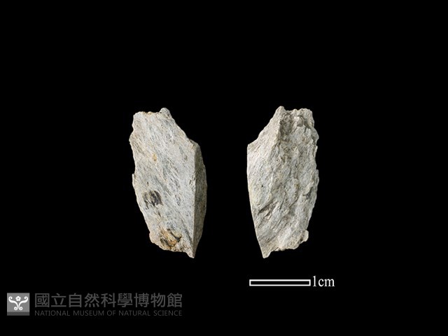 磨製石器藏品圖，第1張