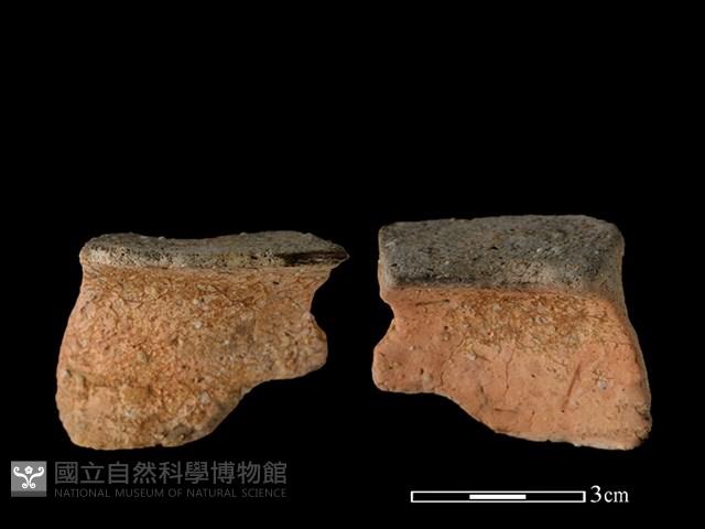 陶罐藏品圖，第1張