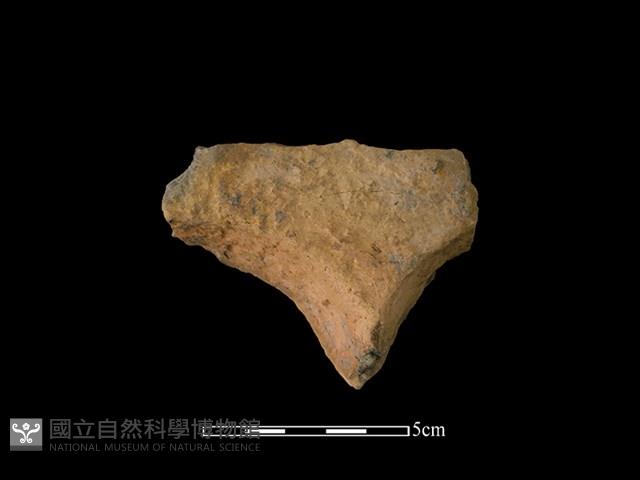 連杯形器藏品圖，第1張