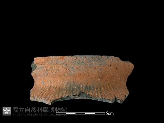 陶罐藏品圖，第1張