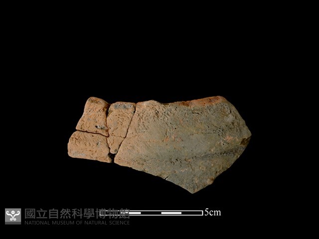 陶缽藏品圖，第1張