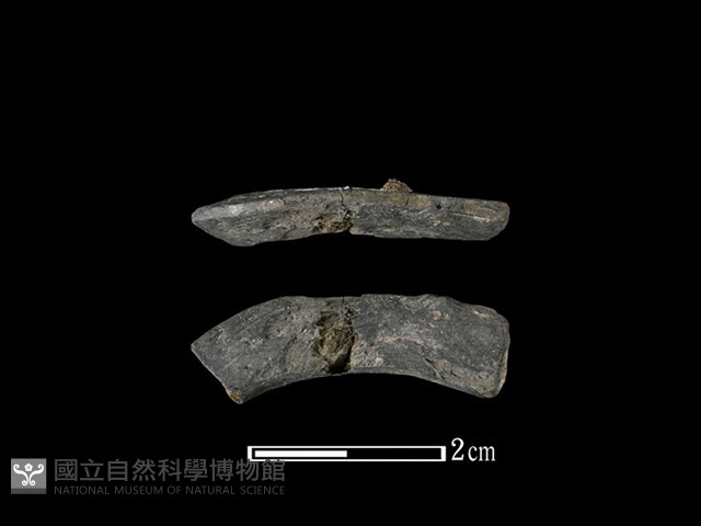 陶環藏品圖，第1張
