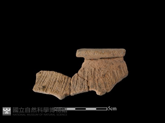 帶紋飾陶片藏品圖，第1張
