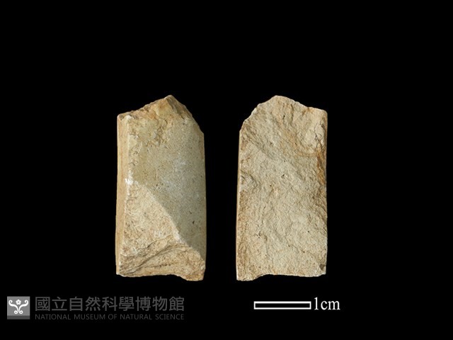 錛鑿形器藏品圖，第1張