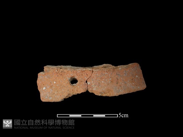 陶罐藏品圖，第1張