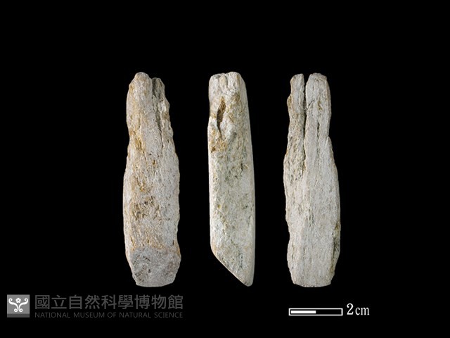 錛鑿形器藏品圖，第1張