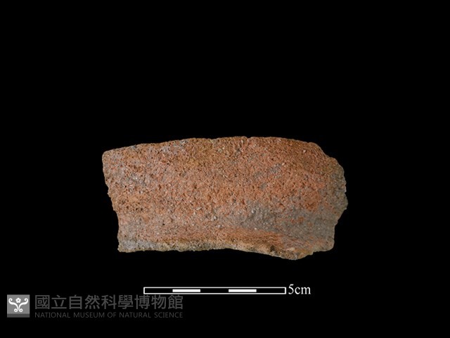 陶罐藏品圖，第1張
