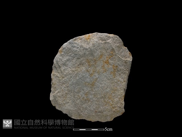 打製石器藏品圖，第1張