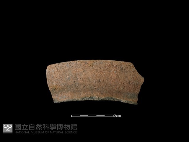 陶罐藏品圖，第1張