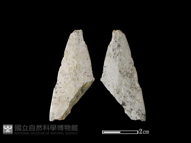 矛鏃形器藏品圖，第1張