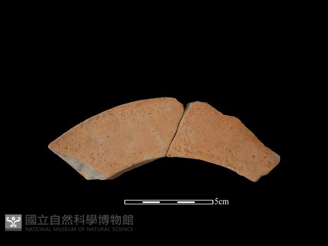 連杯形器藏品圖，第1張