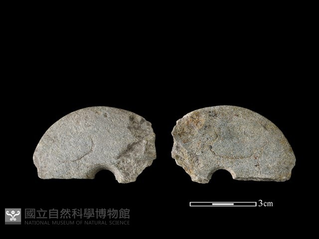 石紡輪藏品圖，第1張