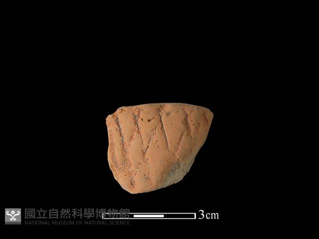 連杯形器藏品圖，第1張