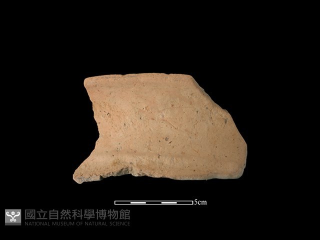 陶罐藏品圖，第1張