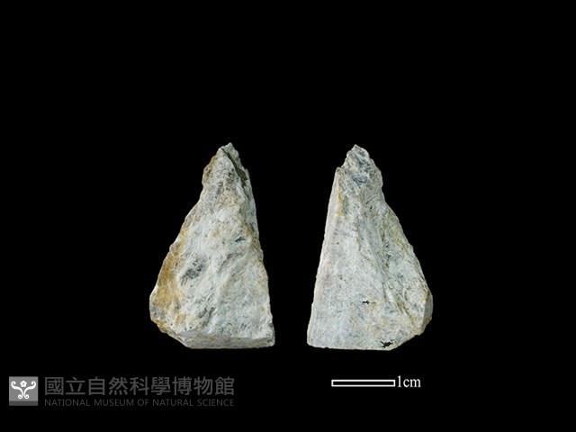 錛鑿形器藏品圖，第1張