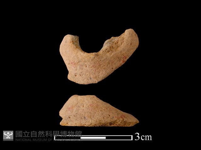 紡輪藏品圖，第1張